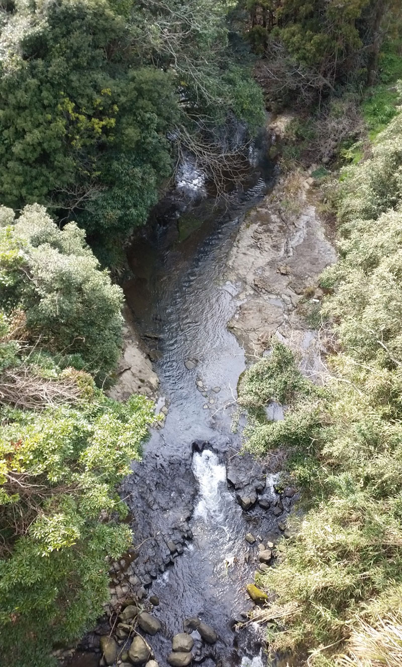 写真:福井川から佐々川への流入